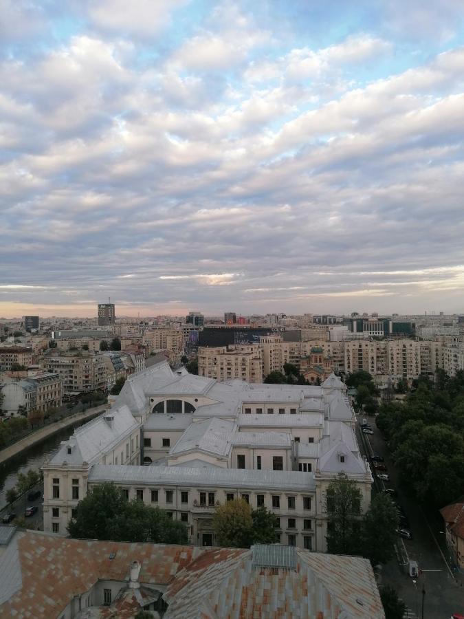 River View, In City Center Apartment Bucureşti Exterior foto