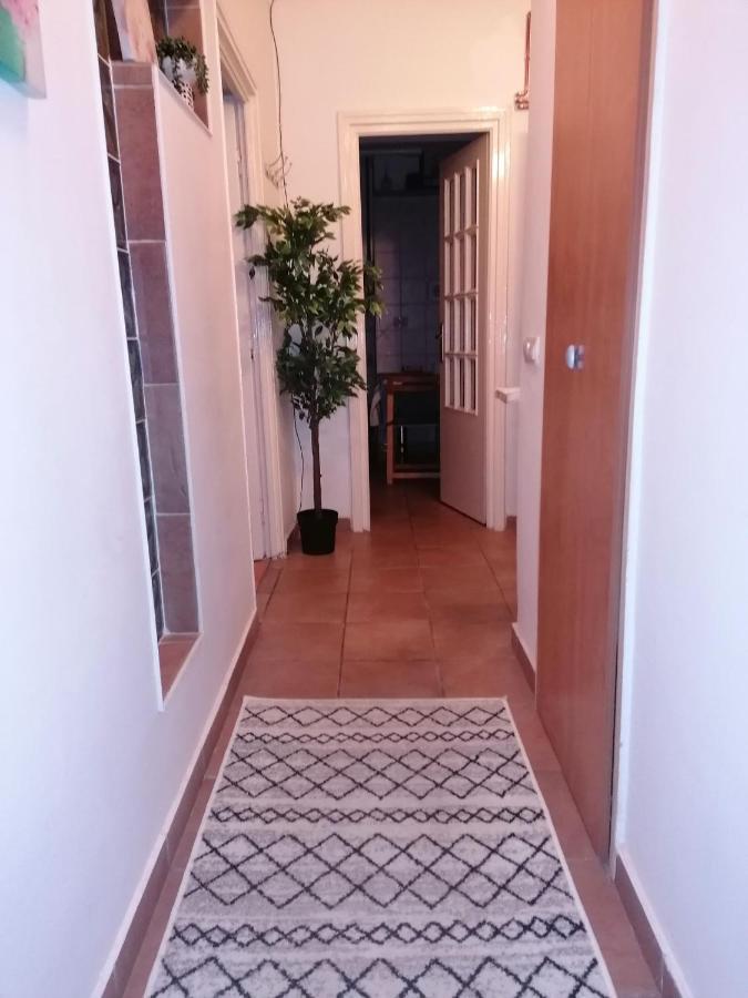 River View, In City Center Apartment Bucureşti Exterior foto