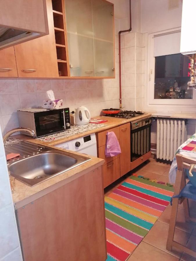 River View, In City Center Apartment Bucureşti Exterior foto