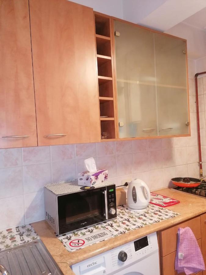 River View, In City Center Apartment Bucureşti Exterior foto